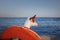 dog in a life jacket in a boat. Ibizan greyhound sea voyage