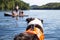 Dog in life jacket watches lake