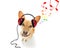 Dog listening to music