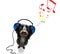 Dog listening to music