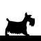 Dog. little silhouette vector fox terrier