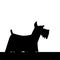 Dog. little silhouette vector fox terrier