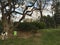 A dog looking back at its owner in a park in Spain