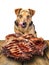 Dog looking delicious beef steak licking chops isolated