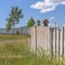 Dog looking over a fence in Daybreak Utah