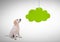 Dog looking right with green cloud hanging