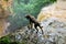 Dog looking from the rock to the bottom of Shakuransky waterfall, Abkhazia