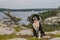 Dog at the lookout at Covered Portage, Ontario, Canada