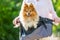 Dog looks cute out of a bicycle basket