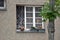 A dog looks out of an apartment window in Vienna, Austria, Europe