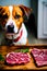 The dog looks sadly at the meat photography generated by ai