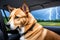 Dog looks scared in the car window on stormy day, AI-generated, Generative AI