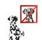 Dog looks at a sign prohibiting