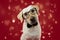 DOG LOVE VALENTINE DAYS. CUTE LABRADOR WEARING GLASSES AND BLACK NECK TIE. ISOLATED SHOT AGAINT RED BACKGROUND WITH DEFOCUSED