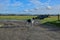 Dog lurcher Collie black and white dirt path old farm machinery blue skies