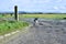 Dog lurcher Collie black and white dirt path old farm machinery blue skies