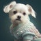 Dog maltese portrait generative ai. Dog shihtzu wearing cute adorable jacket and cardigan