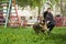 A dog and a man, a German shepherd and a young man walk on a sunny day