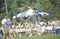 Dog and Man participating in World Championship Semi-Finals of Canine Frisbee Contest, Rose Bowl, Pasadena, CA