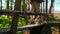 Dog and man are walking on bridge in woods. Stock footage. Dog and owner are walking in forest with bridge. Man and dog