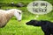 Dog Meets Sheep, Text Be My Hero