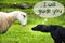 Dog Meets Sheep, Text I Will Guide You