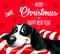 Dog. Merry Christmas and a Happy New Year 2018. Happy, funny puppy