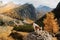 dog in the mountains. Jack Russell Terrier on peak of rocks at sunset. . Hiking with a pet