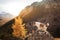 dog in the mountains. Jack Russell Terrier on peak of rocks at sunset. . Hiking with a pet