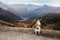 dog in the mountains. Jack Russell Terrier on peak of rocks at sunset. . Hiking with a pet