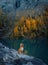 dog in the mountains lake . Nova Scotia Duck Tolling Retriever on peak of rocks at sunset. . Hiking with a pet