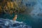 dog in the mountains lake . Nova Scotia Duck Tolling Retriever on peak of rocks at sunset. . Hiking with a pet