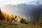 dog in the mountains. Nova Scotia Duck Tolling Retriever on peak of rocks at dawn. . Hiking with a pet