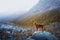 dog in the mountains. Nova Scotia Duck Tolling Retriever on peak of rocks at sunset. . Hiking with a pet