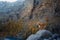 dog in the mountains. Nova Scotia Duck Tolling Retriever on peak of rocks at sunset. . Hiking with a pet