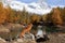 dog in the mountains. Nova Scotia Duck Tolling Retriever on rocks. Hiking with a pet