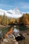 dog in the mountains. Nova Scotia Duck Tolling Retriever on rocks. Hiking with a pet