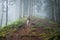 Dog in a mystical foggy forest.