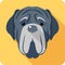 Dog Neapolitan Mastiff icon head flat design