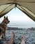 A dog near a tent with a view of the seascape and a couple of travelers. The tent stands on the beach, with the legs of a man and