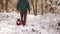 A dog in New Year`s clothes walks in a snowy forest with the owner. Clothes for dogs. Christmas gifts for pets