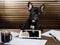 The dog in the office behind a desk. Cabinet, tablet, paper and cup of coffee. Bulldog - boss at the table. The concept  business