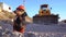 Dog in an orange construction vest and helmet standing against a bulldozer