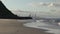 Dog at Palm Beach, with Burleigh Head and Surfer`s Paradise as the backdrop.