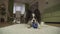 Dog Papillon playing with a ball on a rug in living room stock footage video