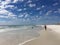 Dog park on a Florida Beach.