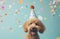 a dog in a party hat on a blue background,animated gifs