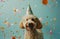 a dog in a party hat on a blue background,animated gifs