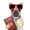 Dog passport