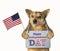 Dog patriot with a flag